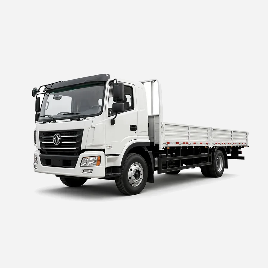 Dongfeng Jumbo